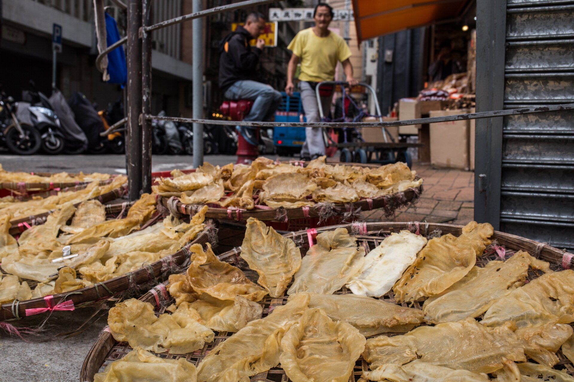 Dried totoaba bladders at a market in Hong Kong.