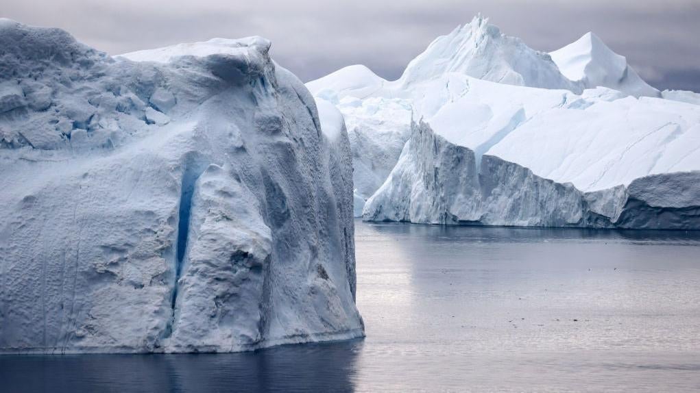 Icebergs which calved from the Sermeq Kujalleq glacier float in the Ilulissat Icefjord, September 2021 in Greenland.