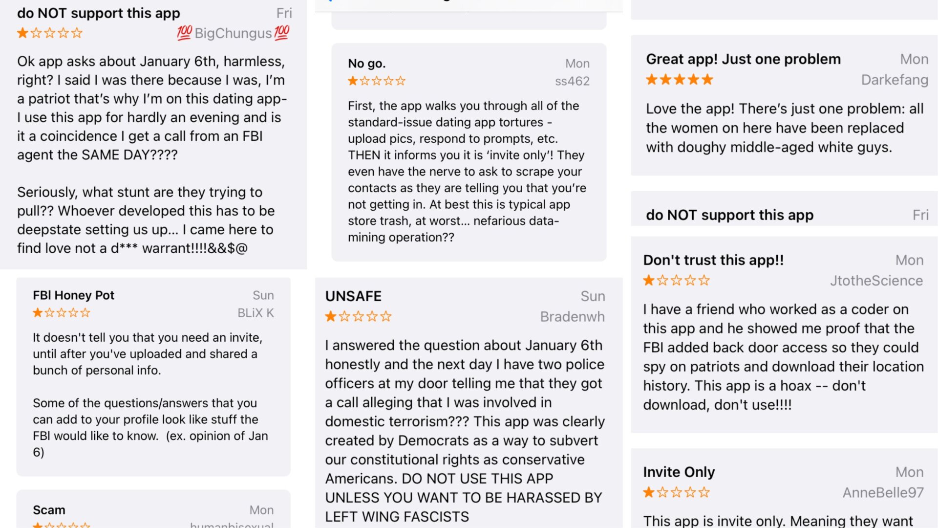 Just a sampling of the reviews of The Right Stuff in the iOS app store. 