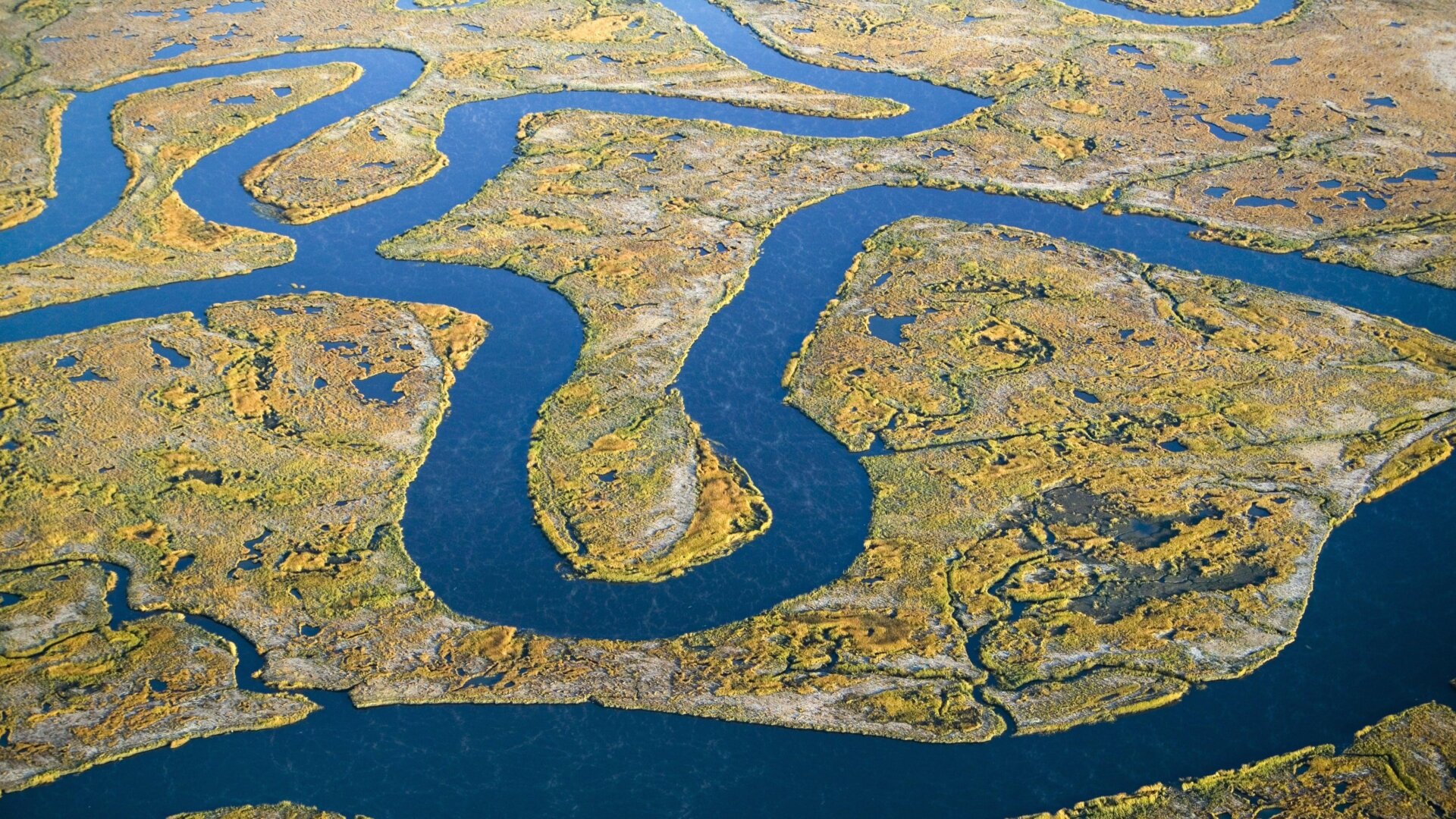 The Supreme Court is gearing up to decide what waters the EPA is allowed to protect under the Clean Water Rule. The final opinion could dictate the future of everything from U.S. drinking water quality to the health of our aquatic ecosystems.