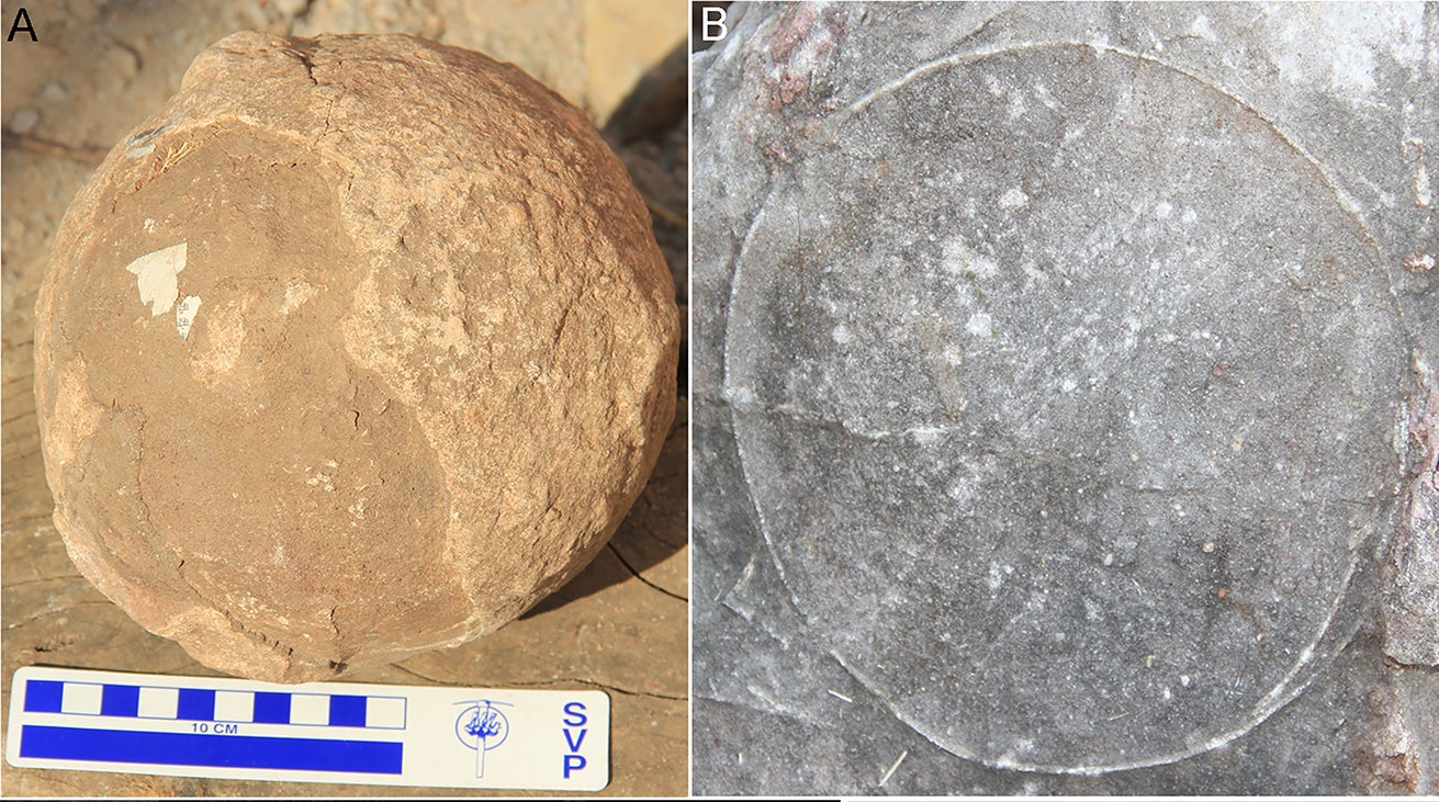 Photo: Dhiman et al., 2023, PLOS ONE, CC-BY 4.0