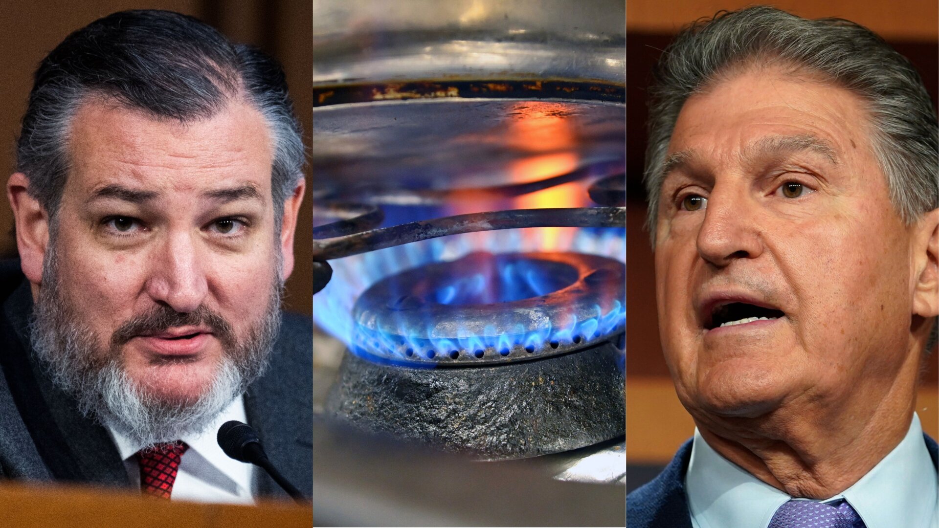 Senators Ted Cruz and Joe Manchin: An alliance forged in (methane fueled) flames.