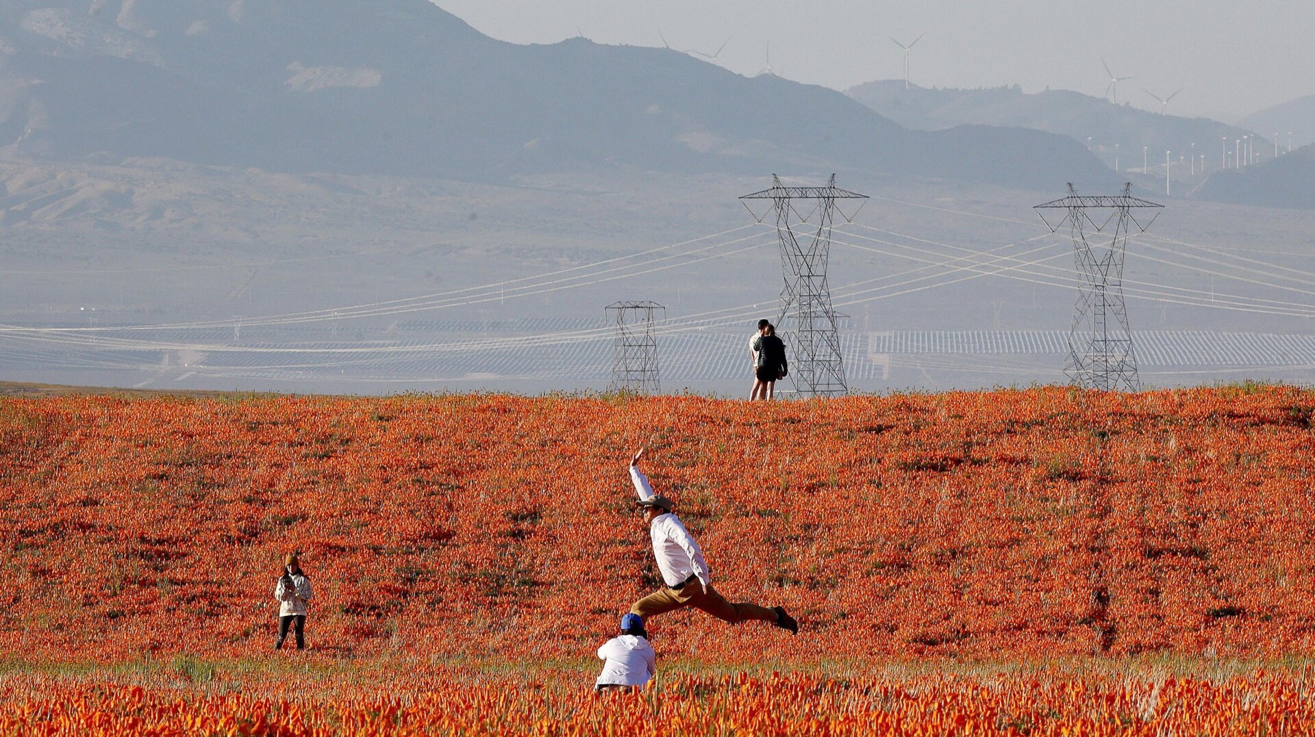 Photo: Mario Tama