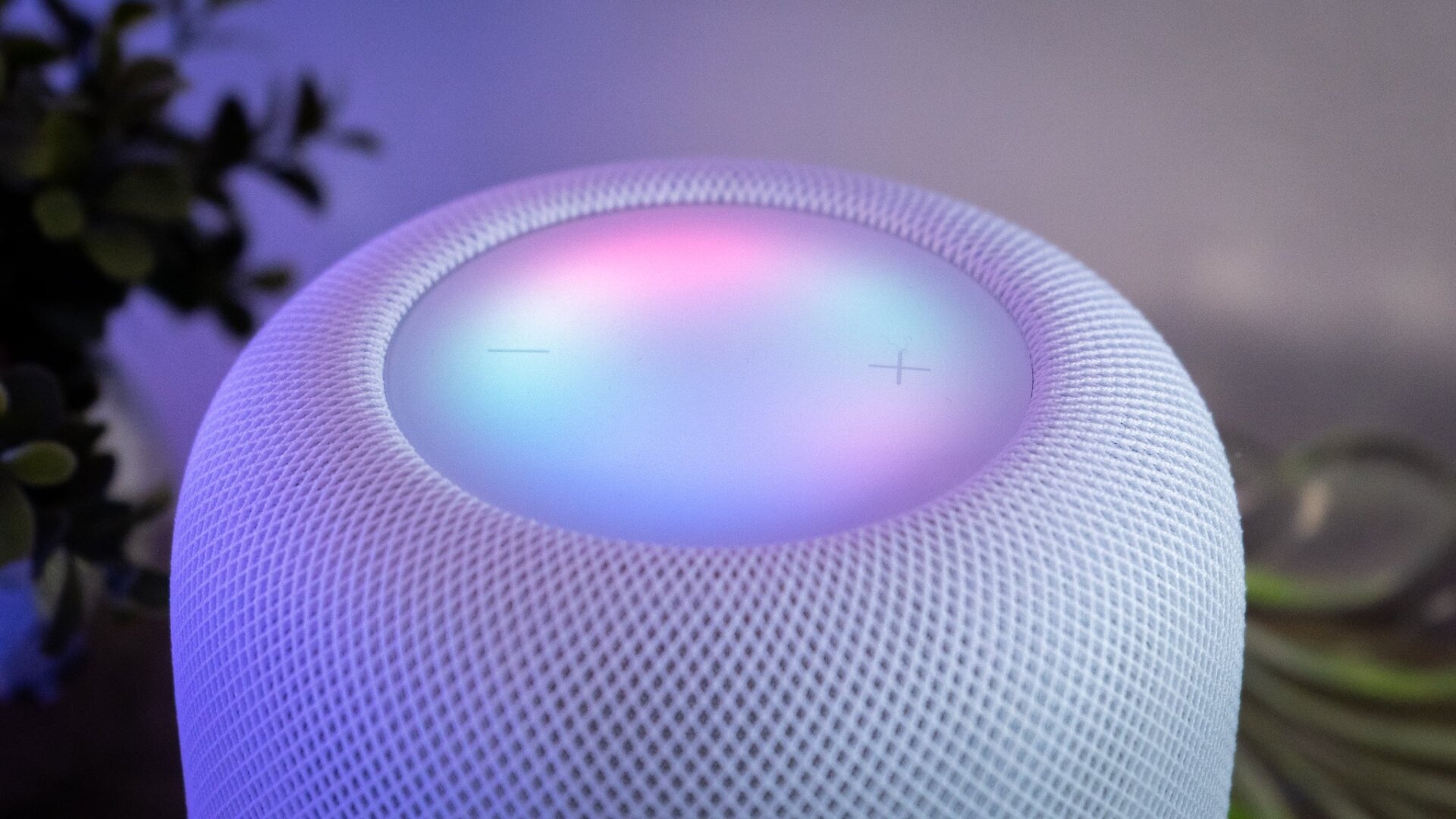 When Siri is listening, you’ll see a rainbow gradient light up the HomePod.