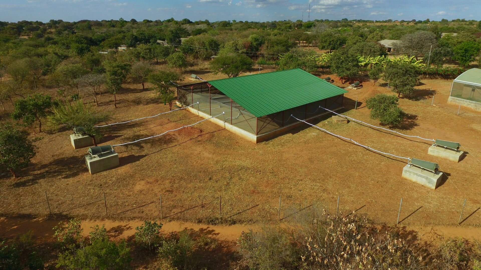 An aerial view of the team’s mosquito cage.