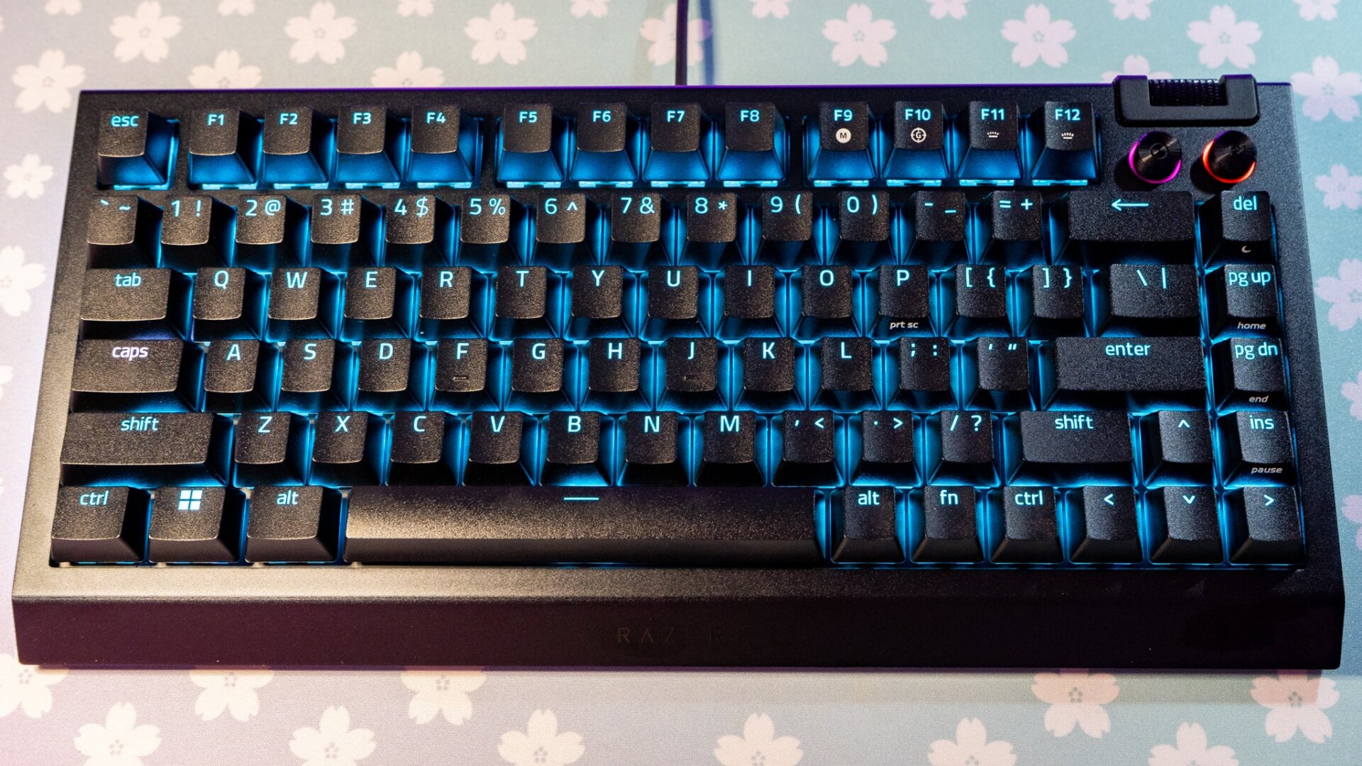 The Razer BlackWidow V4 features a Ten-Keyless layout. 