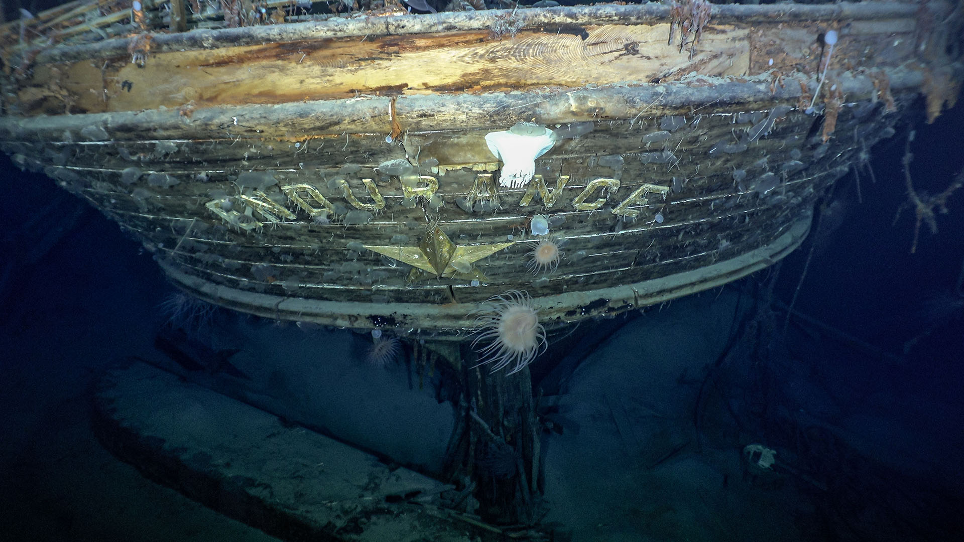 The stern of the wreck of Endurance.