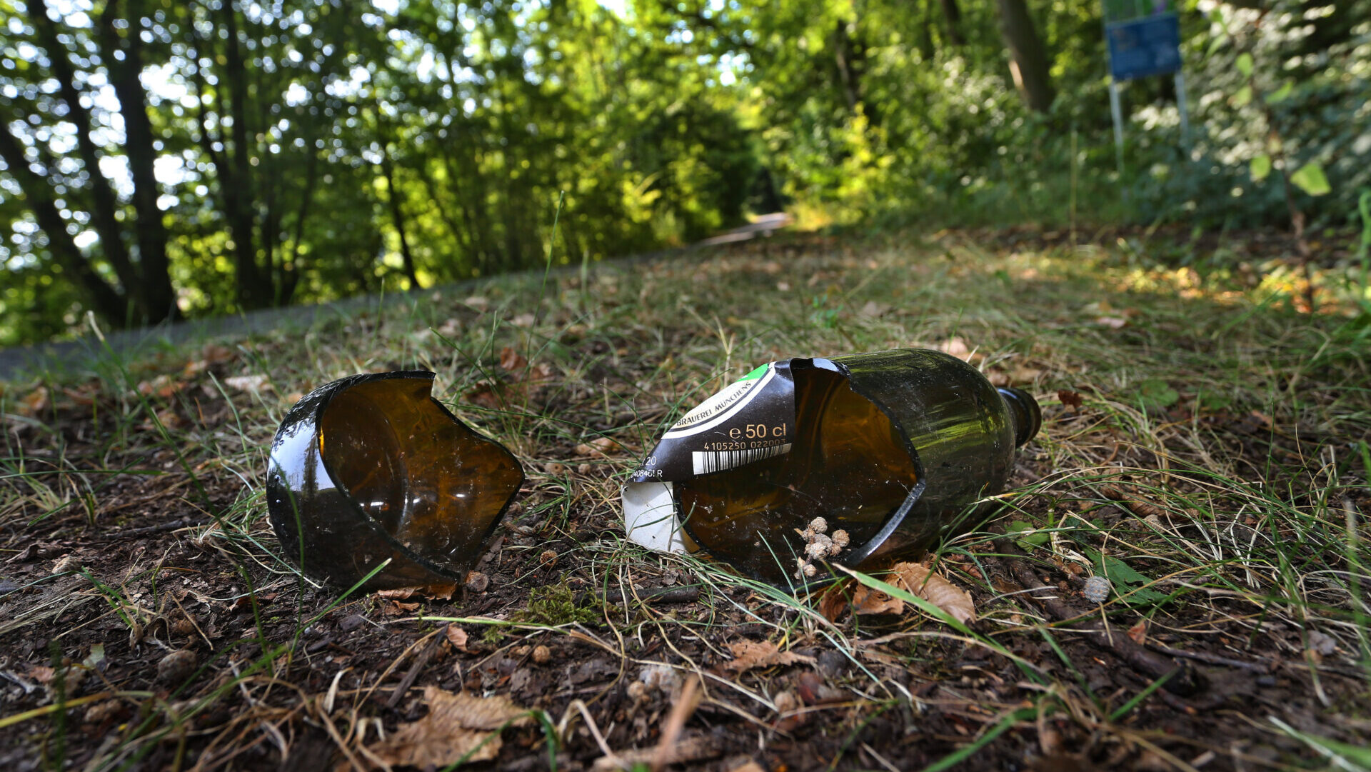 A broken beer bottle left on the ground