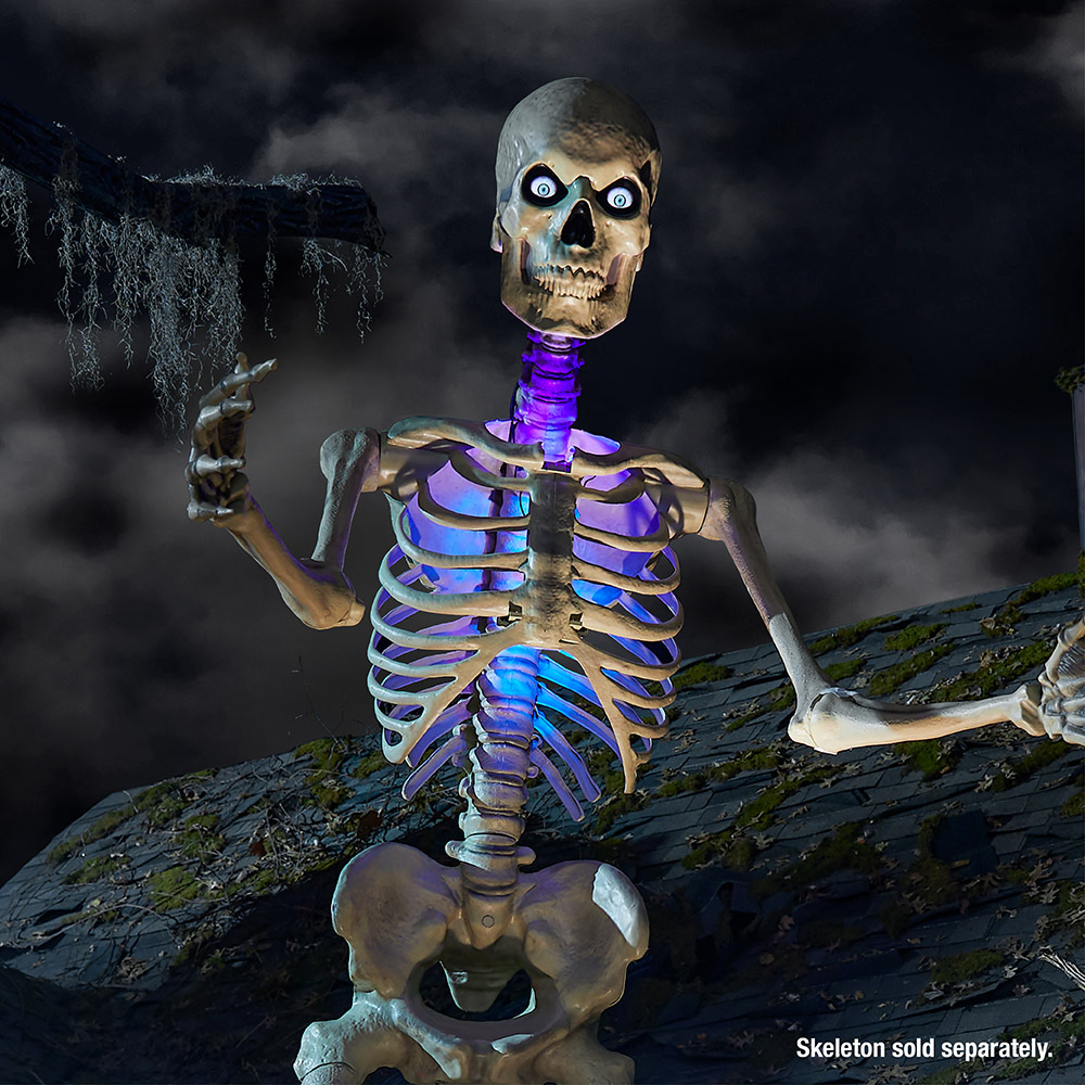 Led Lighting Kit 12 Ft Skeleton Lifestyles