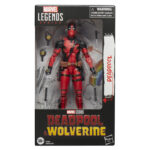 Marvel Legends Series Deadpool Action Figure Package 1