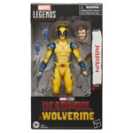 Marvel Legends Series Wolverine Action Figure Package 1