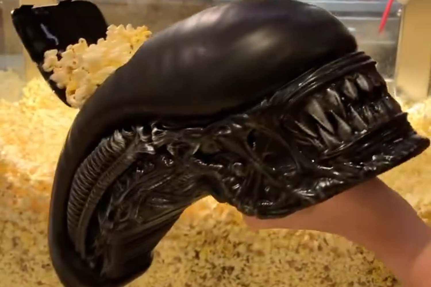 Alien: Romulus popcorn bucket