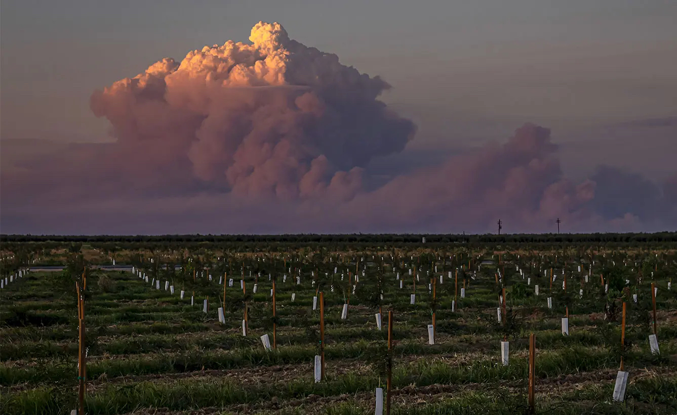 Pyrocumulonimbus Cloud Park Fire