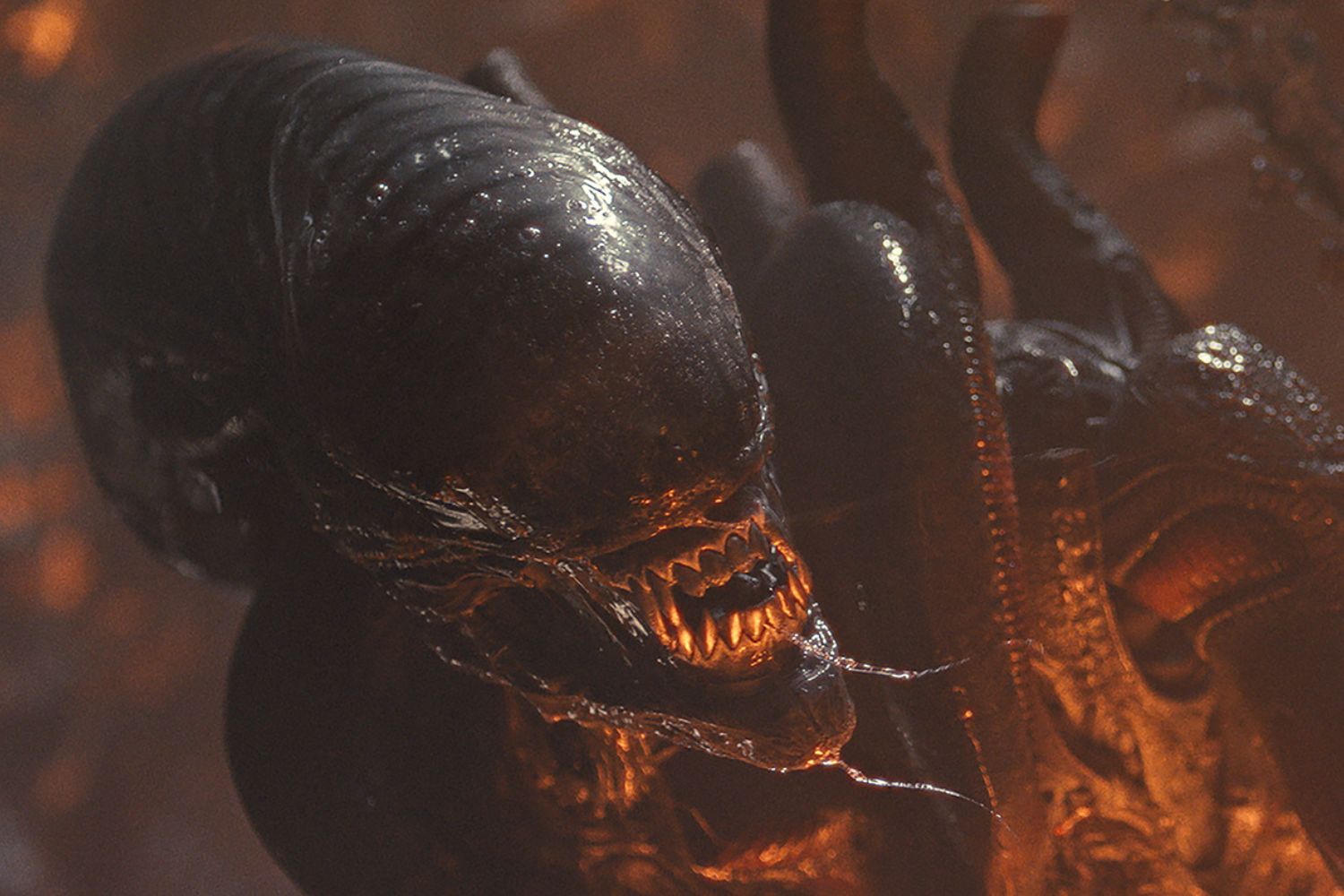 The Xenomorphs are back in Alien: Romulus.