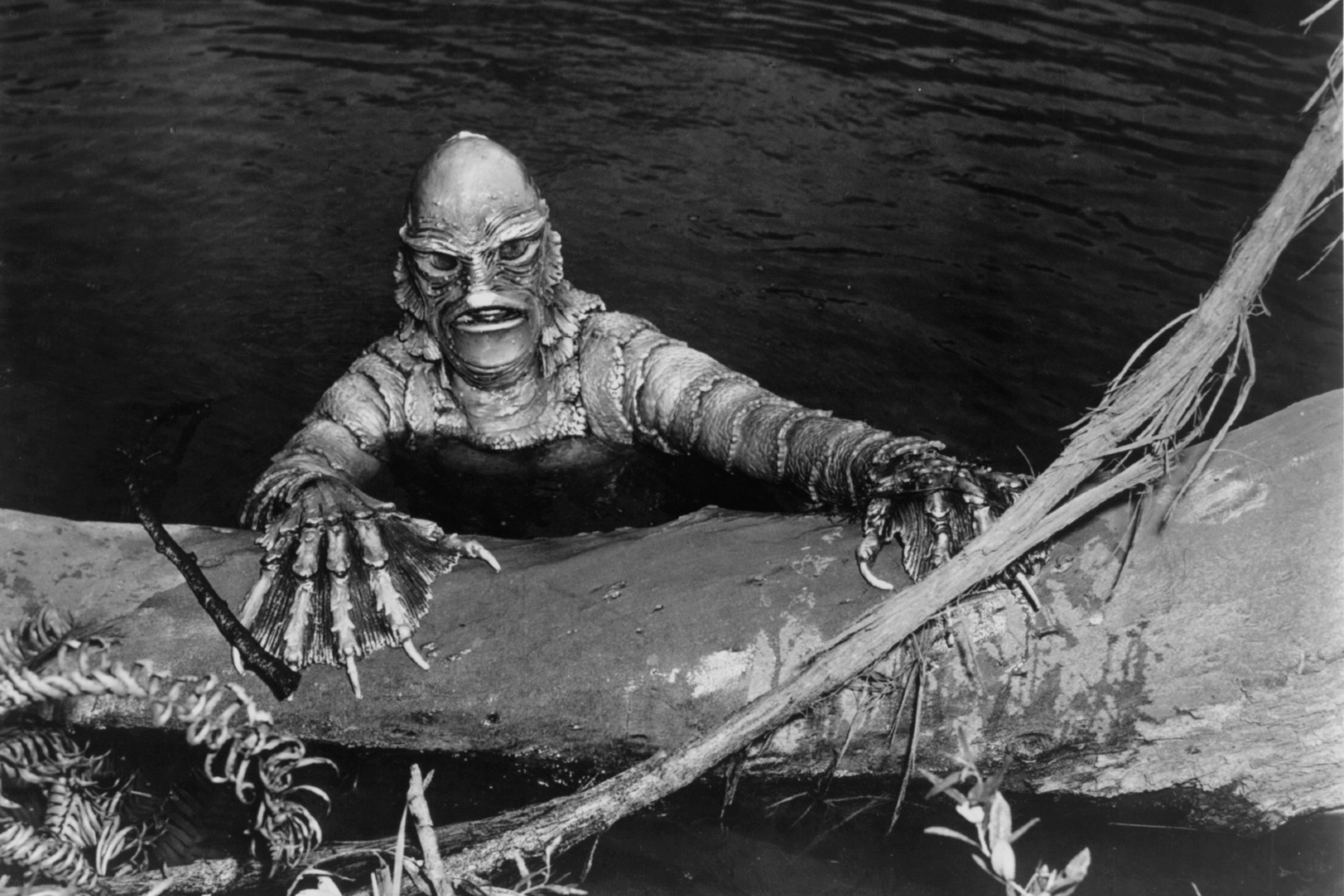 Creature From The Black Lagoon 1954