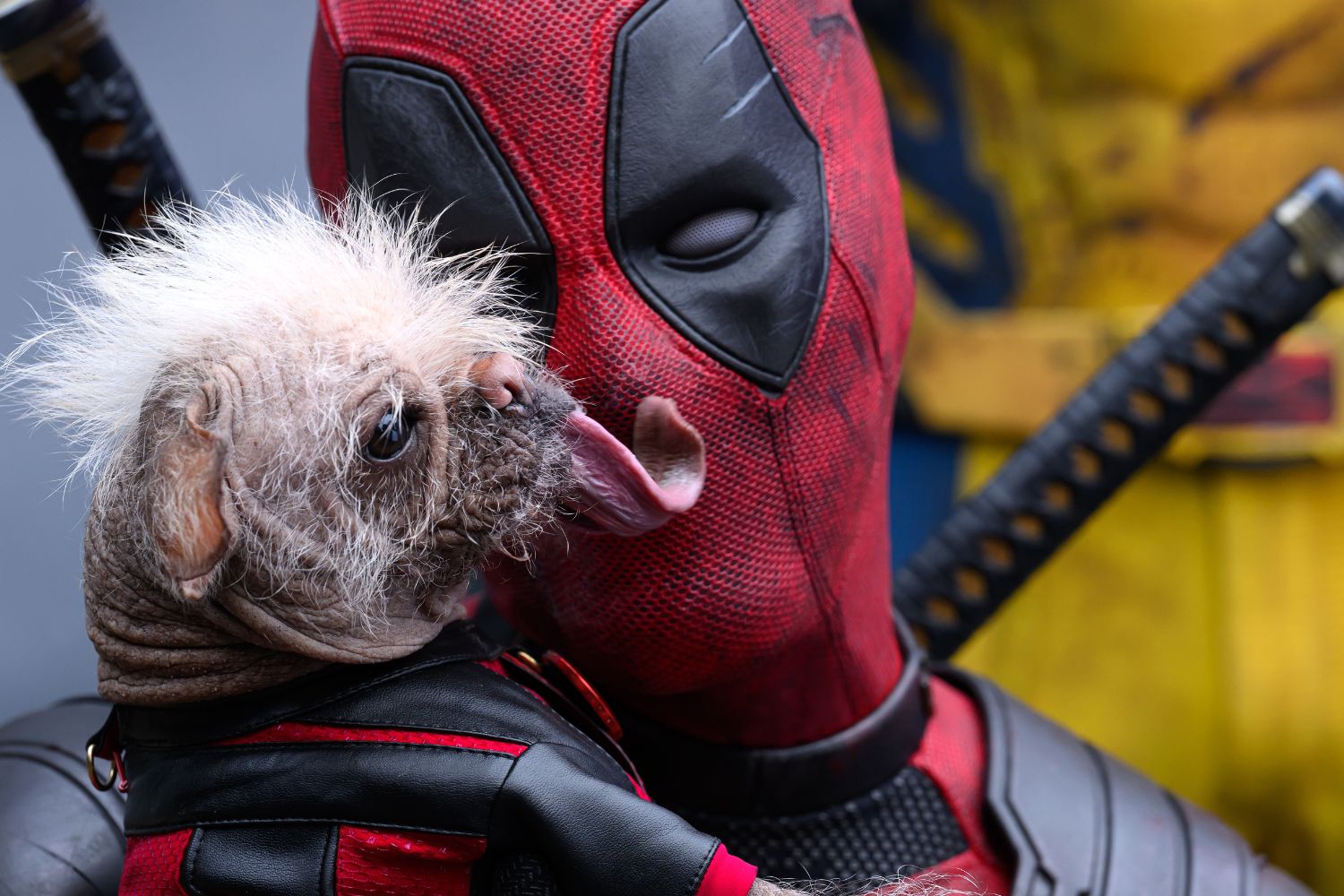 Deadpool Wolverine Dogpool