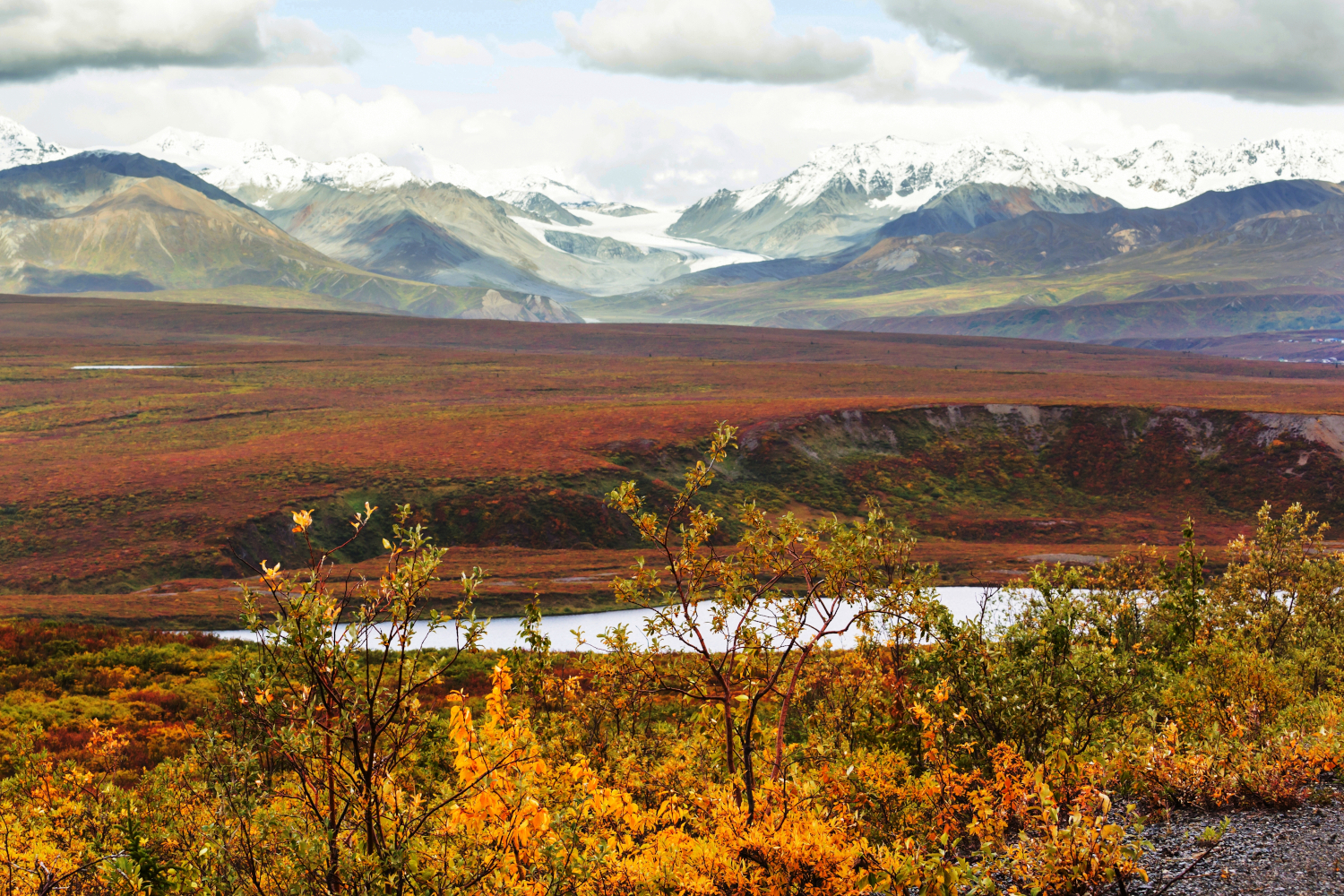 Tundra,landscapes,above,arctic,circle,in,autumn,season.,beautiful,natural