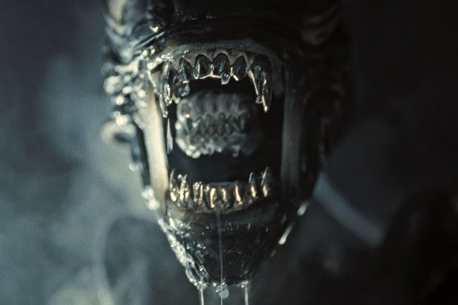 Alien Romulus Xenomorph Closeup