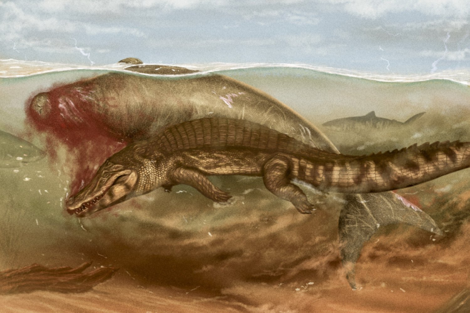 Artist's rendition of manatee being killed by crocodilian, with shark in background