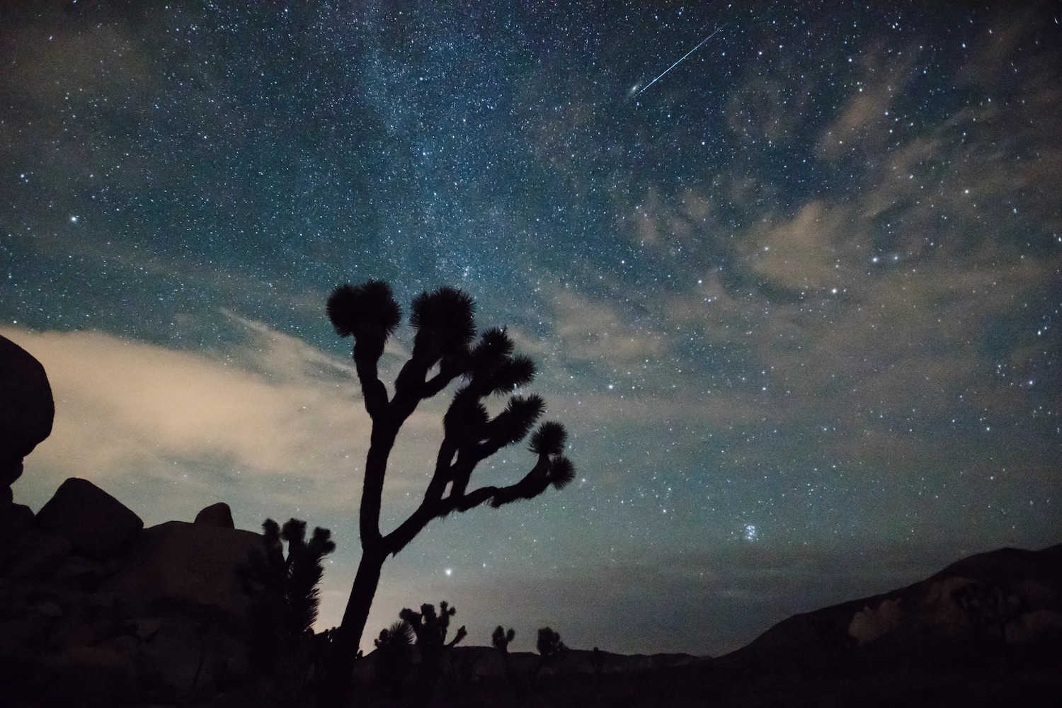 Image of a Perseid meteor streaking over Joshua Tree National Park.