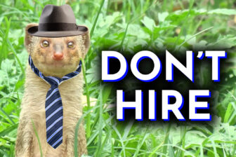 Don’t Hire These Killer Mongooses, They Suck At Their One Job