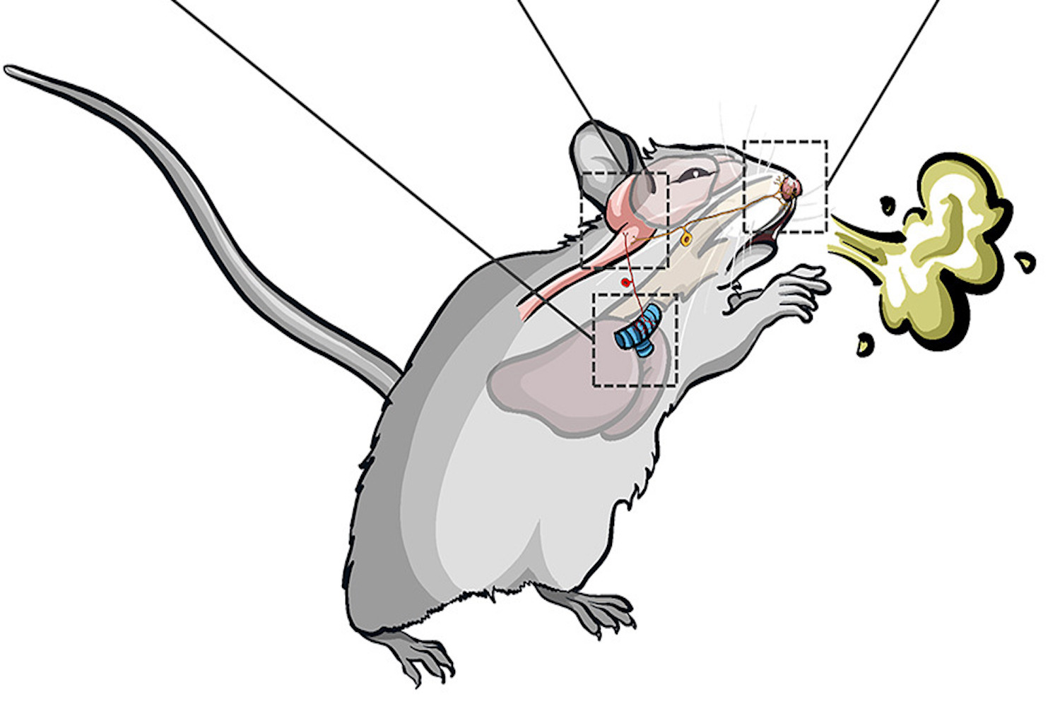 Drawing of a mouse sneezing