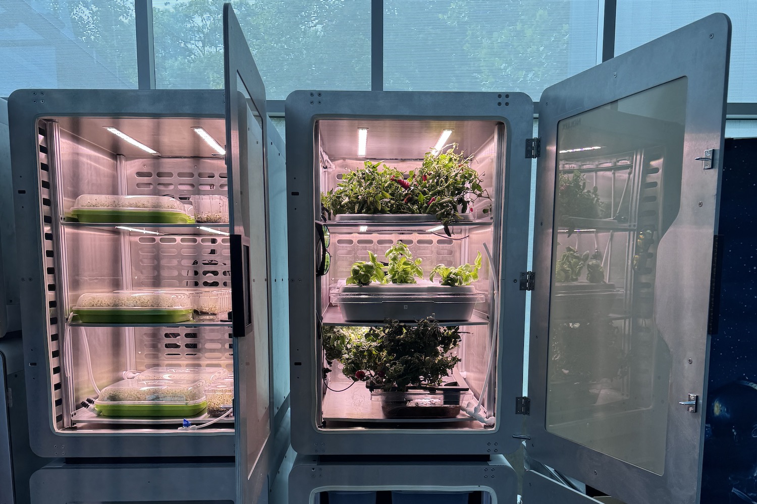 Image of indoor grown electro agriculture plants