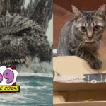 New York Comic Con 2024 Godzilla Minus One Cat