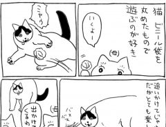 「いっそ清々しい」「心をえぐる…」　大好きな母以外が、猫と遊ぼうとすると…？