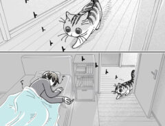 猫の漫画