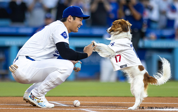 大谷翔平選手と愛犬・デコピン