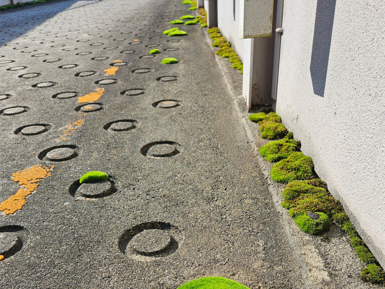 地面の写真