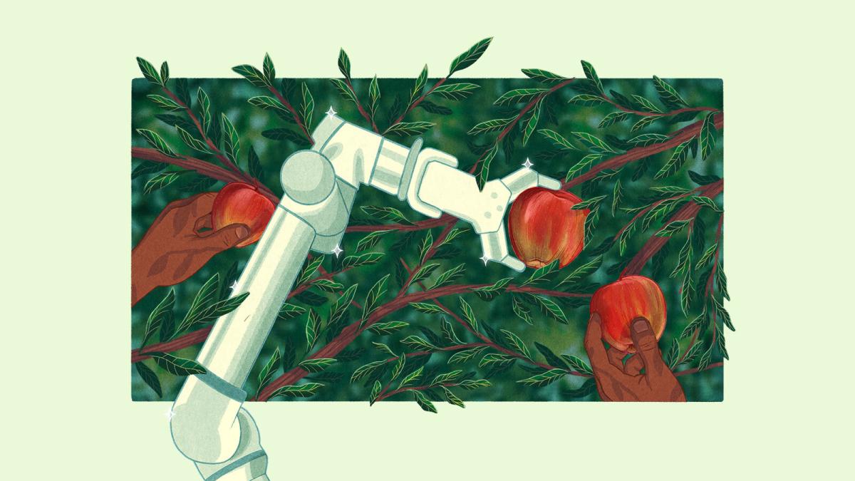 an illustration of a robot arm picking an apple from a tree alongside human hands also picking apples from the same tree