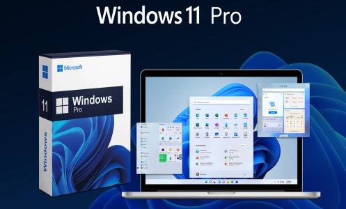 Windows 11 Pro