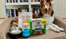 Collie on a bed next to a yeti bowl, full moon treats, greenies, and a west paw topple