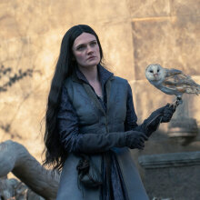 A woman in medieval clothes stands in castle ruins holding an owl.