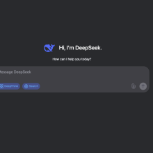 A screenshot showing DeepSeek AI's search tool.