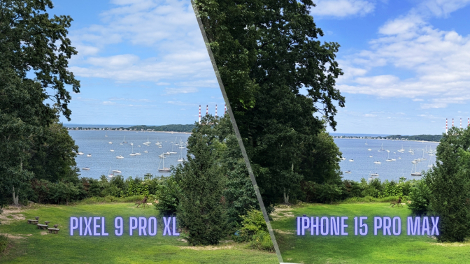 Pixel 9 Pro XL vs. iPhone 15 Pro Max split image for photo test