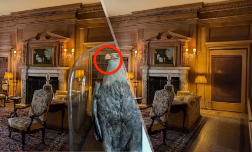 A split image of a room inside the Vanderbilt Museum with the owl circled