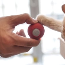 person playing with a cat