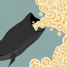 Bitcoin whale moves $1.1 billion in bitcoins for an $80 fee