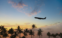 an airplane takes off during sunset with a tropical setting surrounding