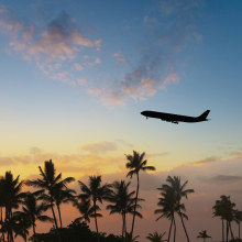 an airplane takes off during sunset with a tropical setting surrounding