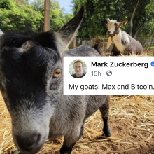 Mark Zuckerberg has a goat named Bitcoin and we're a little worried for it