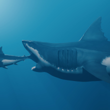 A conception of a giant shark, like a megalodon, hunting smaller prey.