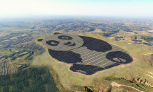 The cutest solar farm ever is now live on the grid