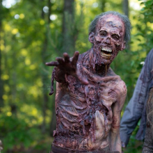 Police respond to 911 call, find family watching 'The Walking Dead'