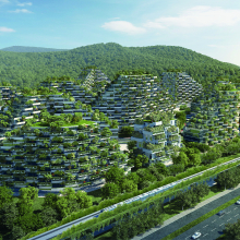 China's verdant 'forest city' will fight pollution with a million plants