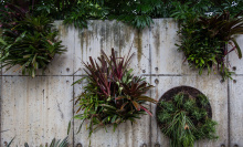 India's Silicon Valley gets a seriously impressive vertical garden