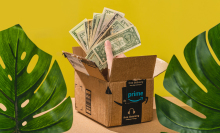 plants and a box with money